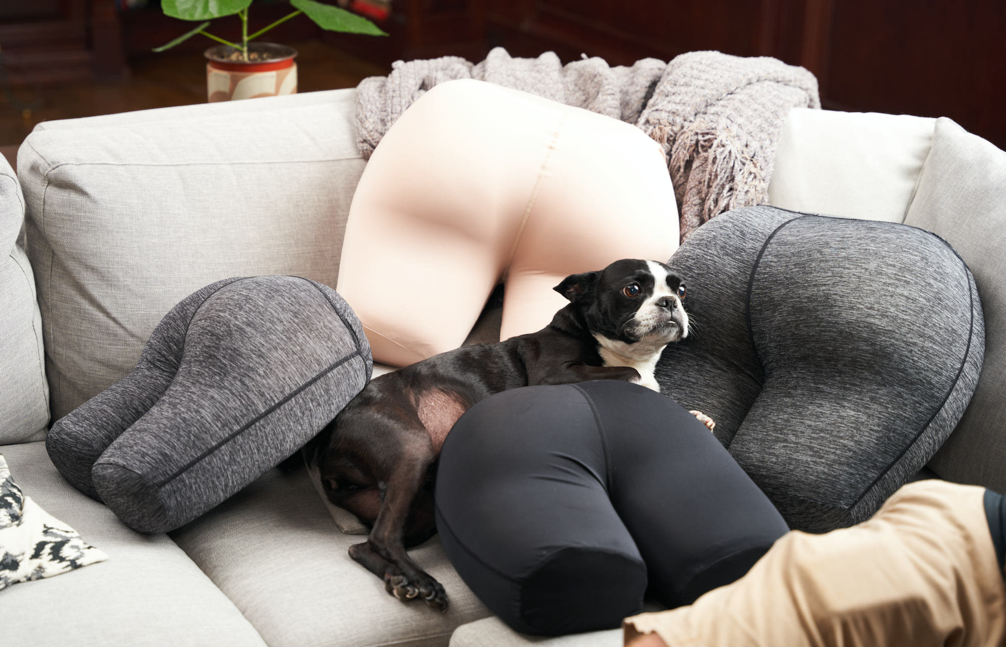 Products – It's My Butt Pillow